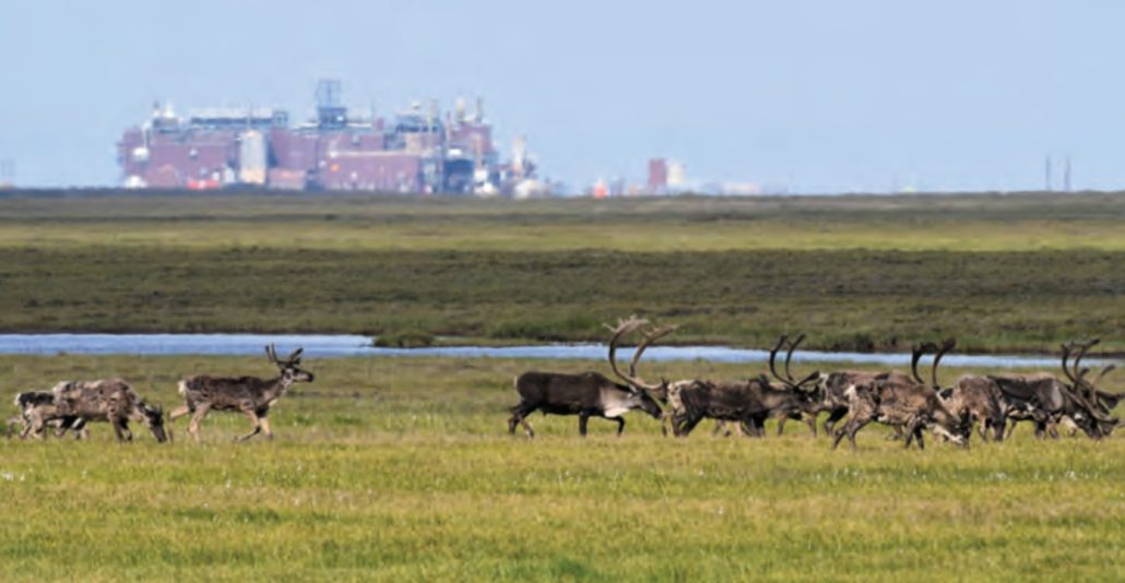 AlaskanOilField